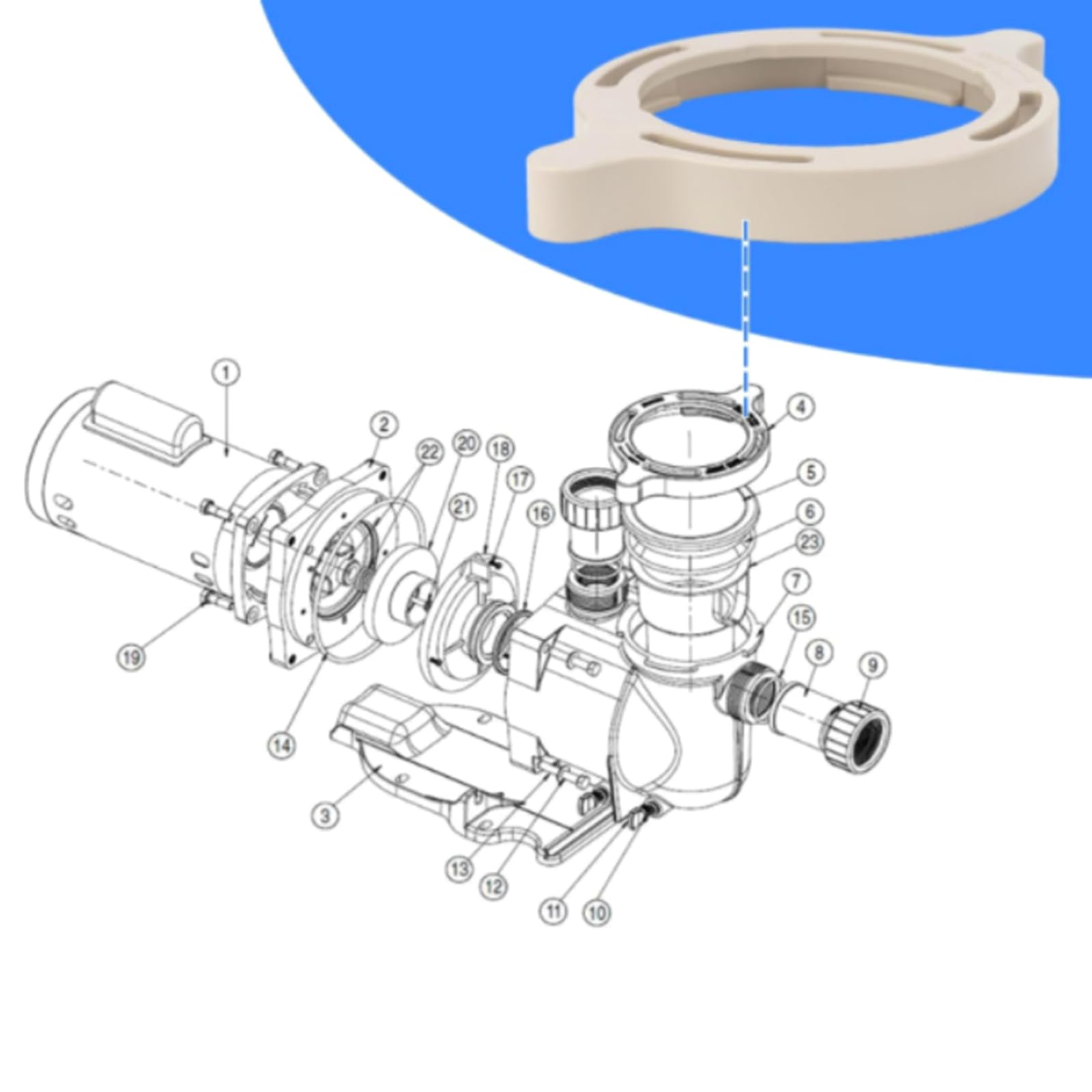 Set di coperchi e morsetti per pompa da piscina, facili da installare, resistenti alla corrosione, design a prova di perdite, coperchio per sistemi interni, guarnizione O-Ring, componenti per piscina