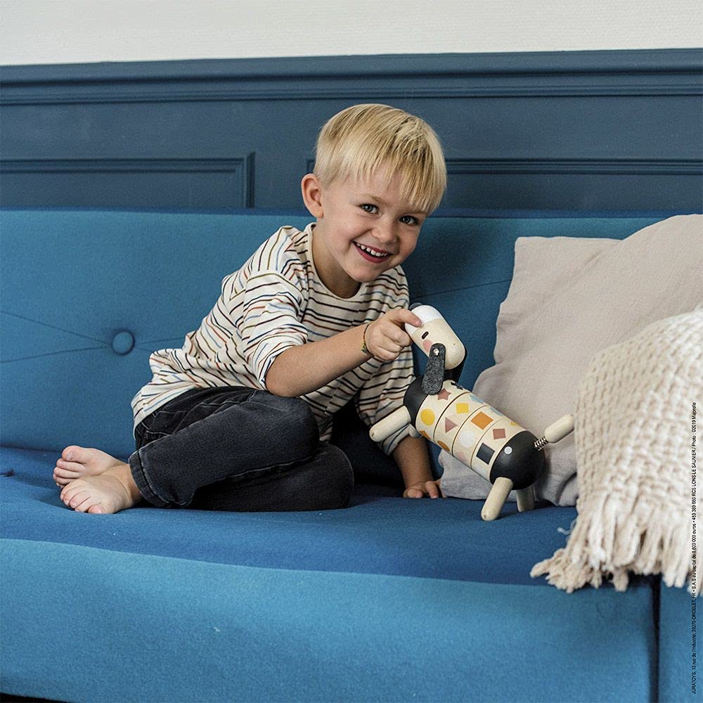 Janod - Cane in Legno Forme e Colori - Collezione Sweet Cocoon - Giocattolo Didattico e Prima Infanzia Dipinto Ad Acqua - Imparare Forme e Colori - A Partire dai 2 Anni in su, J04421