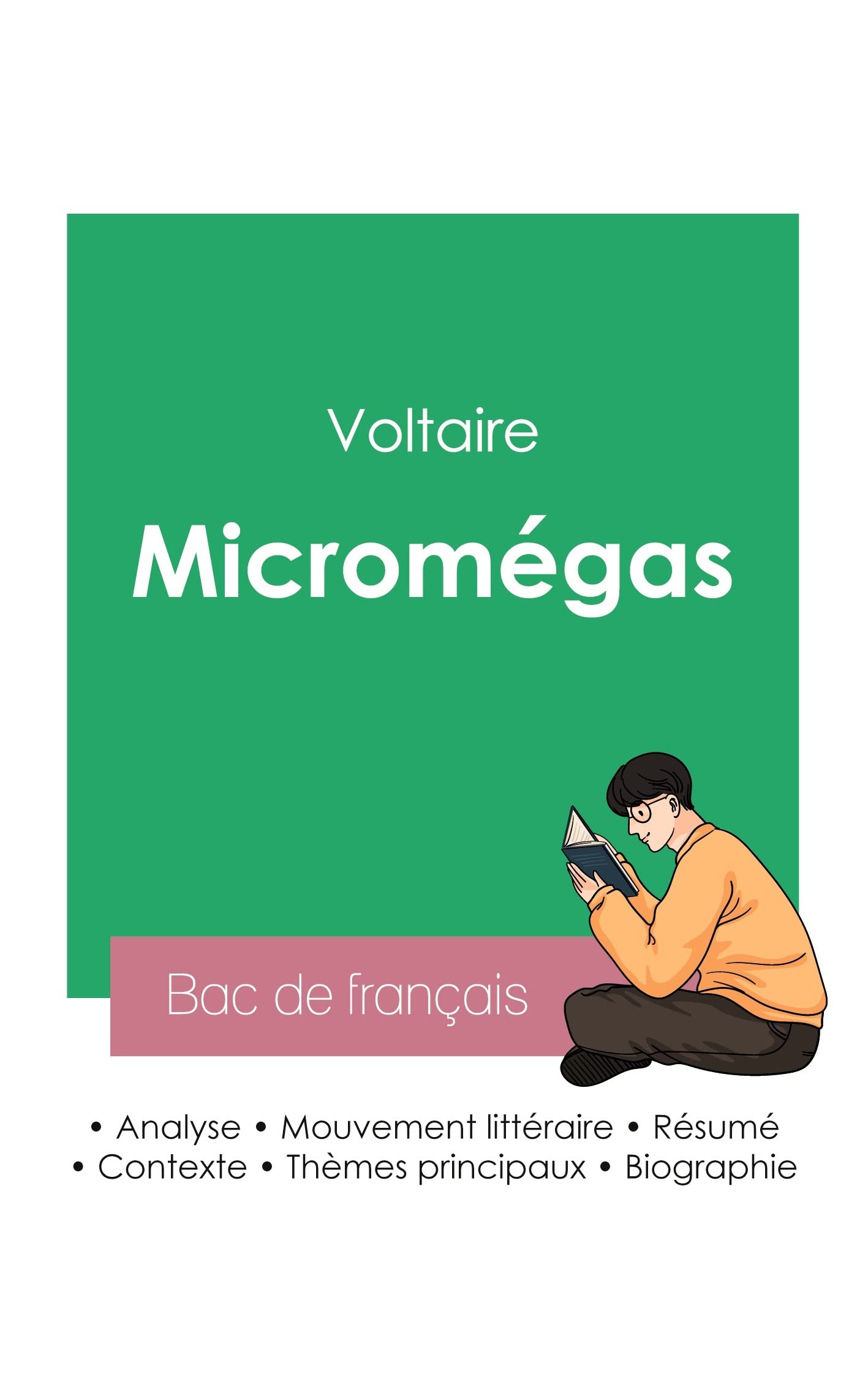 Réussir son Bac de français 2023: Analyse de Micromégas de Voltaire