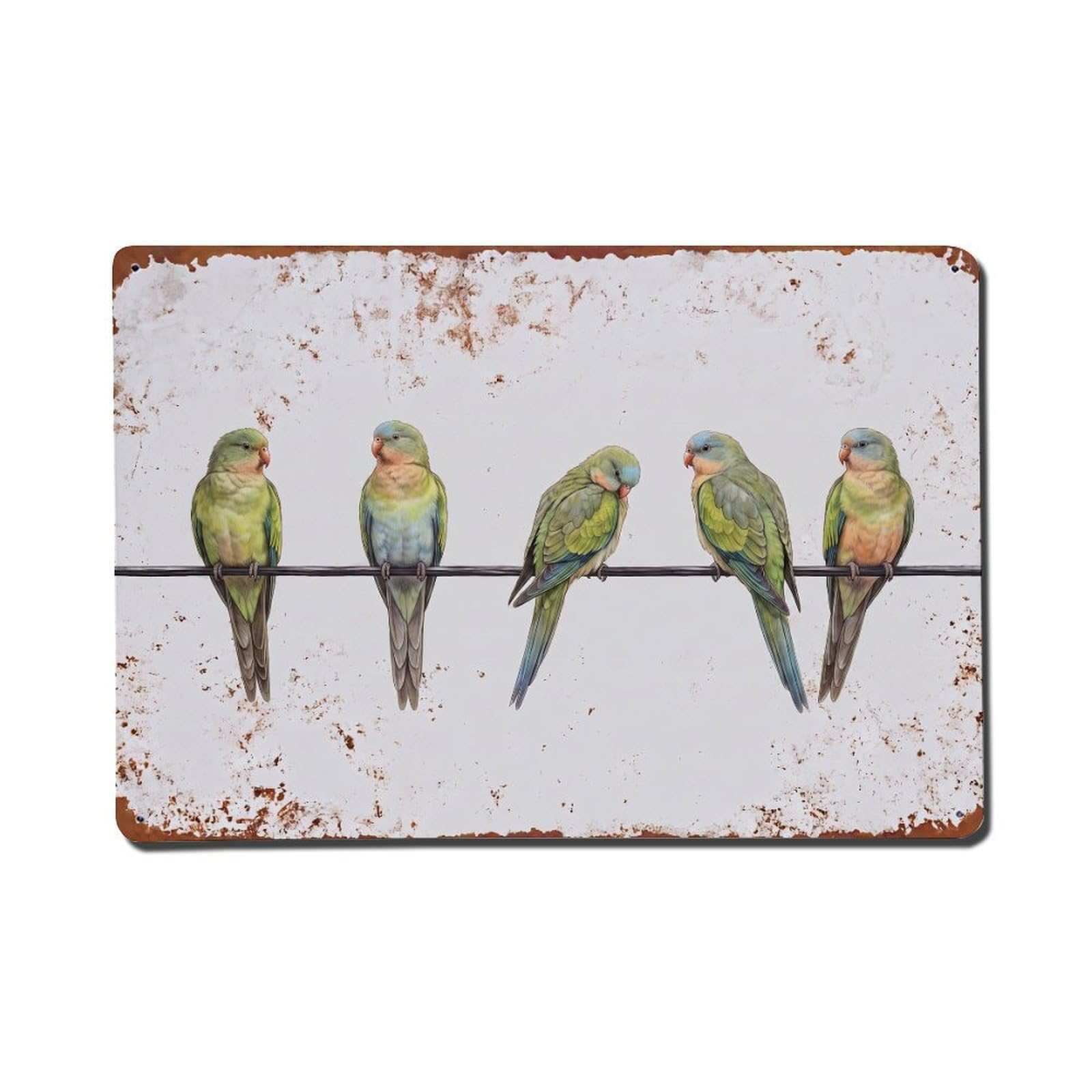 Vintage Retro Birds Princess Parrot Metal Tin Sign