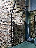 ARTIMEX espaldera de Acero (Escalera Sueca) para Gimnasia y Fitness - utilizadas en hogares, gimnasios o al Aire Libre, 255x100 cm, código 221-Gladiator