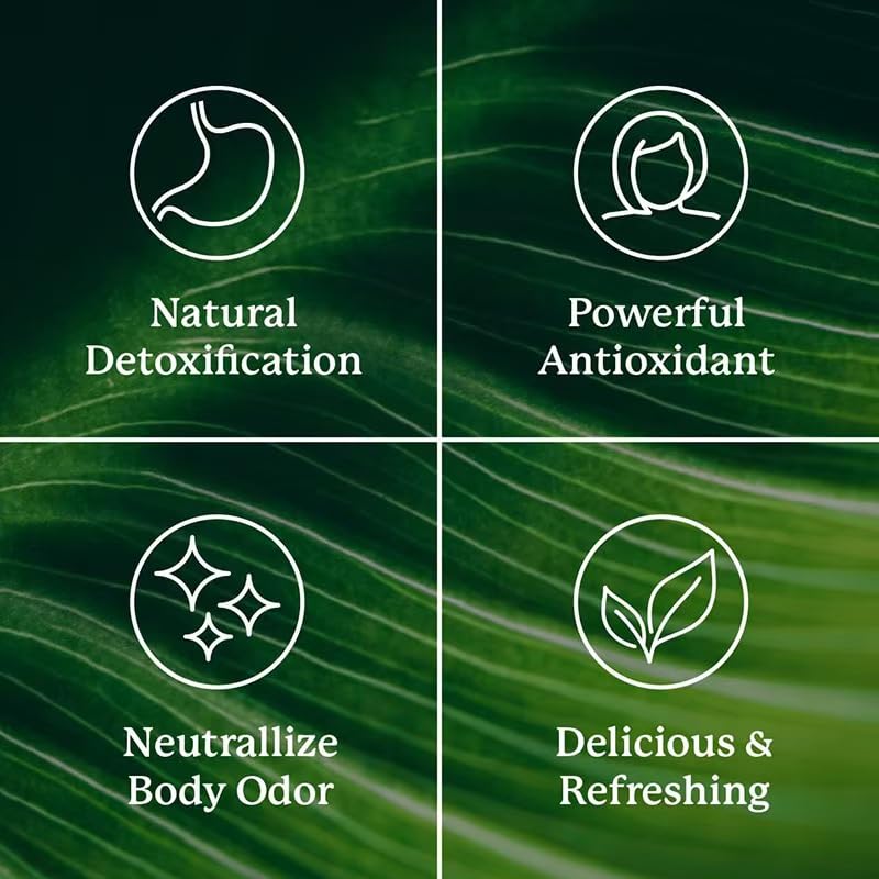 Packs of sticks of chlorophylle,suitable for men and women | Boostez votre détox et améliorez la santé intestinale dans des packs de