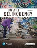 Juvenile Delinquency (Justice Series)
