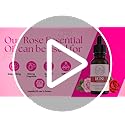 Purlixir Rose Essential Oil - 10 ml | 100% Pure and Natural |Used for Aromatherapy, Relaxation, Skin Care, Calm Sleep & Massage, Spiritual Rituals - Image 2