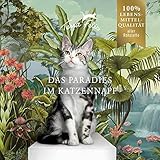 TERRA FELIS Lachs & Huhn, Multi-Protein Nassfutter, 12x80g I Premium Katzennahrung in 100% Lebensmittelqualität Aller Rohstoffe I 90% Fisch- & Fleischanteil, getreidefrei I Alleinfuttermittel