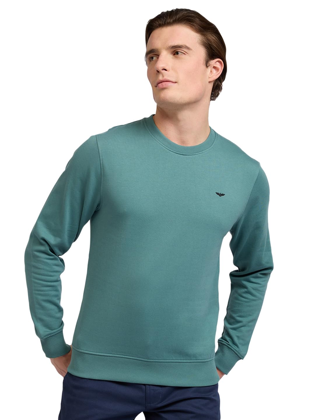 Park Avenue Men Full Sleeve Slim Fit Solid Pattern Cotton Polyester Blend Regular Neck Casual Sweatshirt-picture-22
