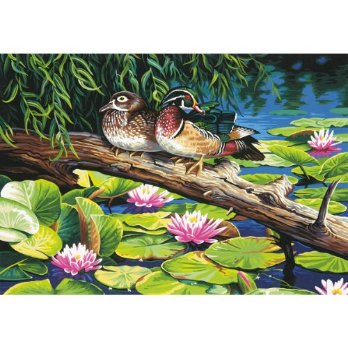 Paintworks dimensioni Paint by Numbers 50,80 40,64...