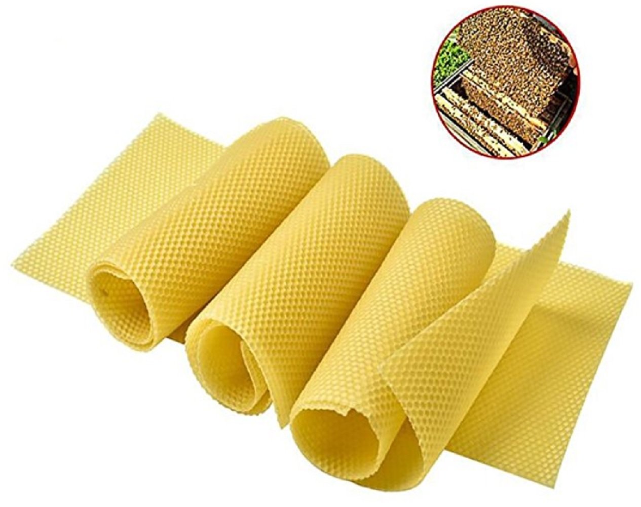 Amazon.co.jp: Pros 蜜蜂 ミツバチ 用 飼育 シート 巣礎 西洋 セイヨウ