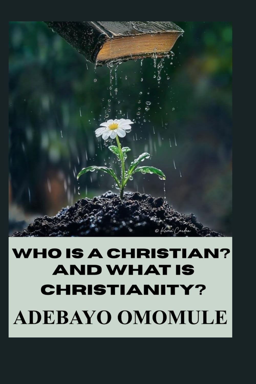 Who is a Christian and what is Christianity ?: (Becoming like Christ in a fallen world)