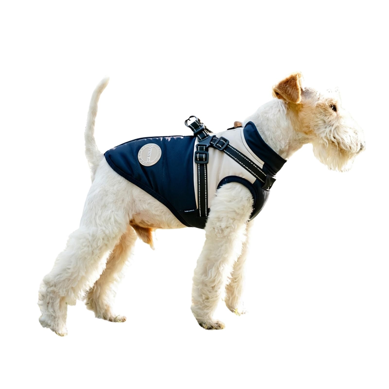 BT Bear Dog Winter Coat With Harness for Puppy Small Dogs Winter Jacket Outdoor,Waterproof Adjustable Pet Warm Clothes,Blue_XS