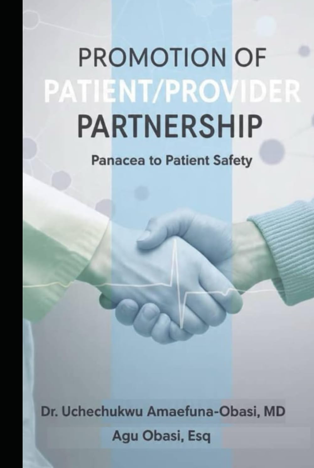 Promotion of Patient/Provider Partnership: Panacea to Patient Safety: The Evidence-Based Framework to Reduce Harm, Improve Outcomes, and Build a Resilient Healthcare System