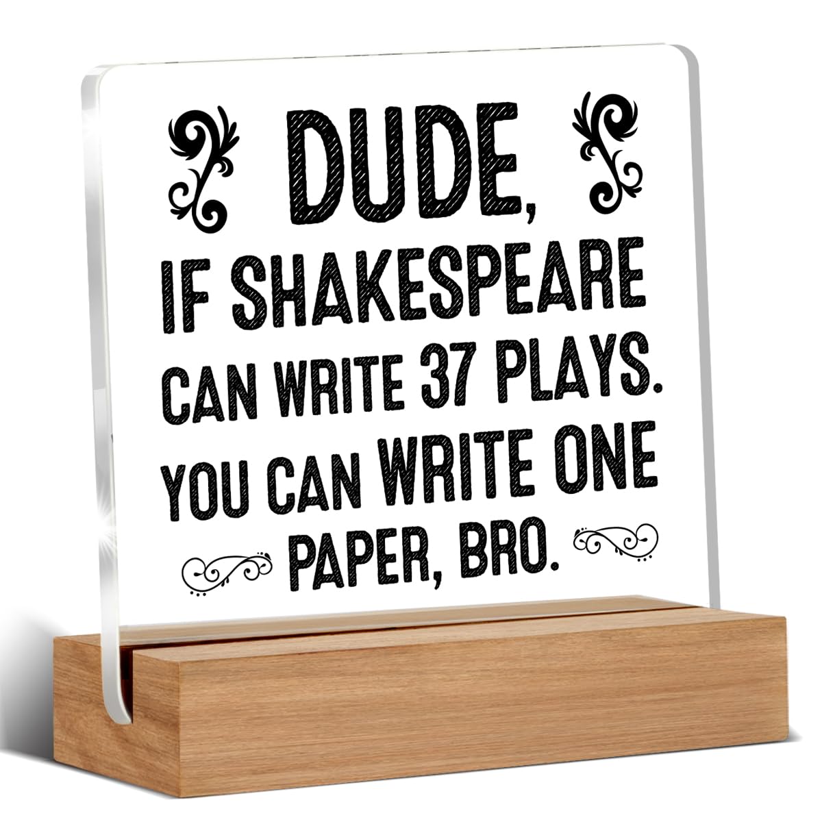 English Classroom Decor, English Teacher Gifts, Funny Literary Gifts for English Teacher Literature Lover, Classroom Decorations High School Desk Decor 4 x 4 Inches