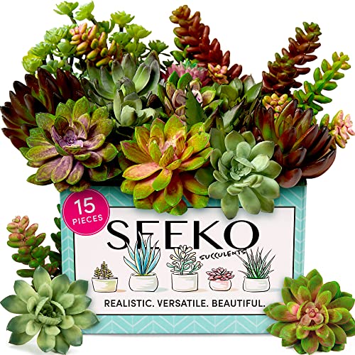 La mejor comparación de Precio de las suculentas - solo los mejores. 30 SEEKO - Plantas suculentas artificiales (15 piezas) – Hyper Realista falsas suculentas sin maceta, vegetación sintética versátil, plantas artificiales para interiores, plantas...