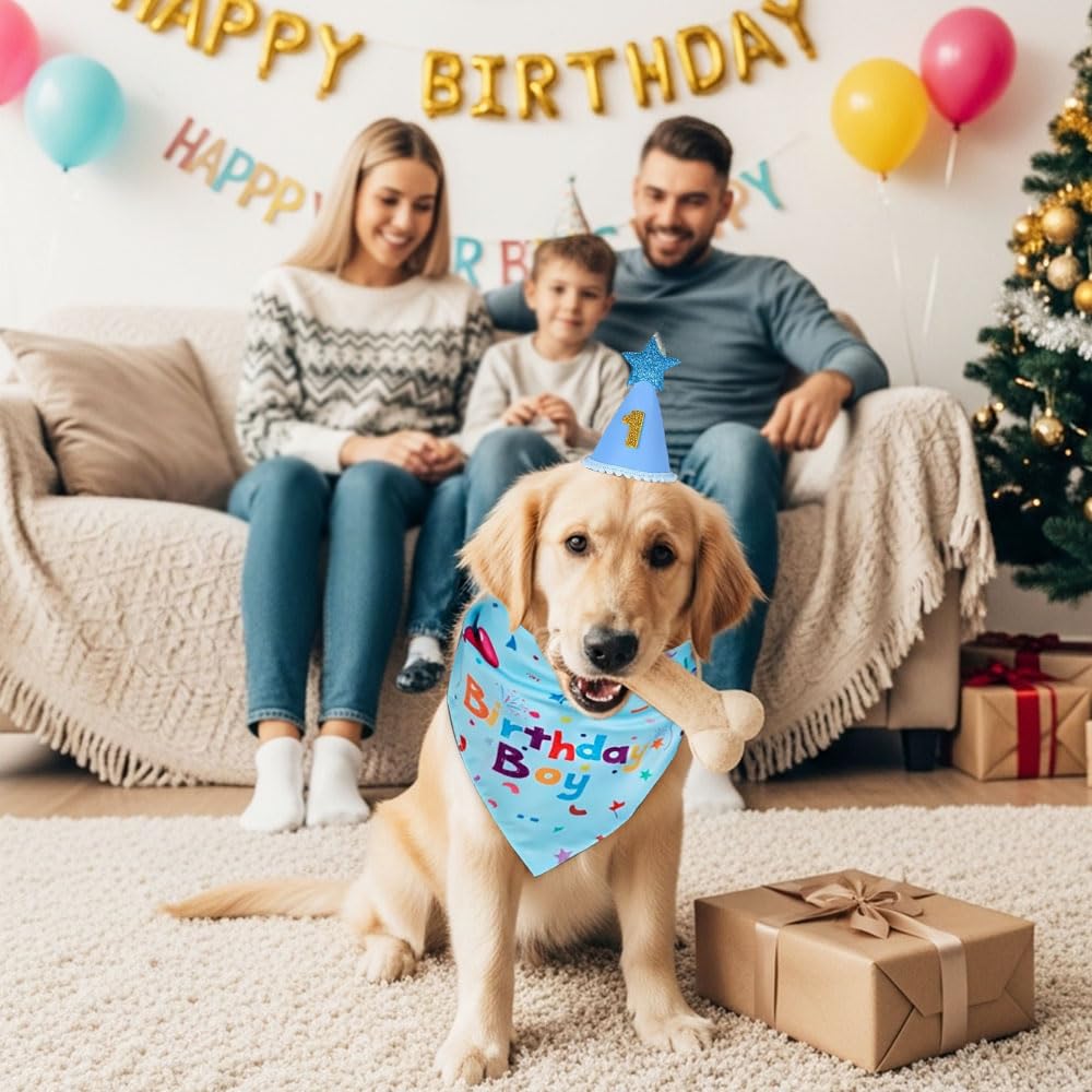3 PCS Set Compleanno Cane,Bandana Cane Compleanno con Cappello, Numeri,HMCEY Cappellini da Festa per Animali Domestici,Accessori Decorazioni Compleanni Regalo per Cani Maschi, Femmine - Blu
