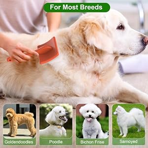 Dog Slicker Brush, Doodle & Poodle Grooming Brush with Stainless-steel Comb, Large Dog Brush for Goldendoodles, Labradoodles, Golden Retriever and Poodles to Remove Tangles, Undercoat & Mats