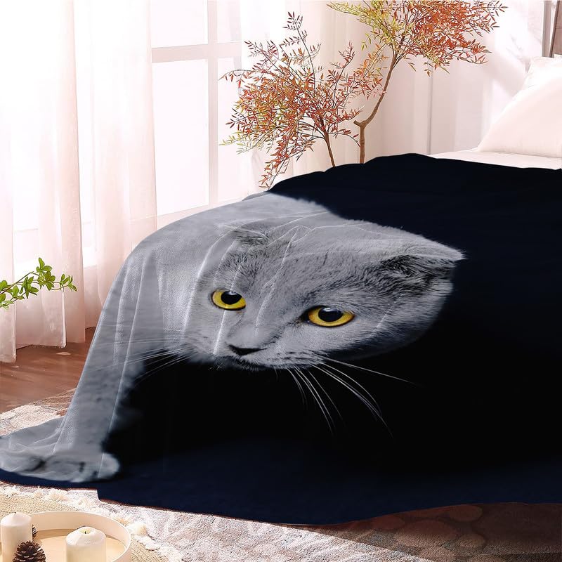 SILLY LEGACY Copertura Protettiva Sottile Reversibile Impermeabile (Grigio, Letto Matrimoniale 244 x 208 cm), Fodera per Letto o Divano per Cani e Gatti, incontinenza, urina, peli