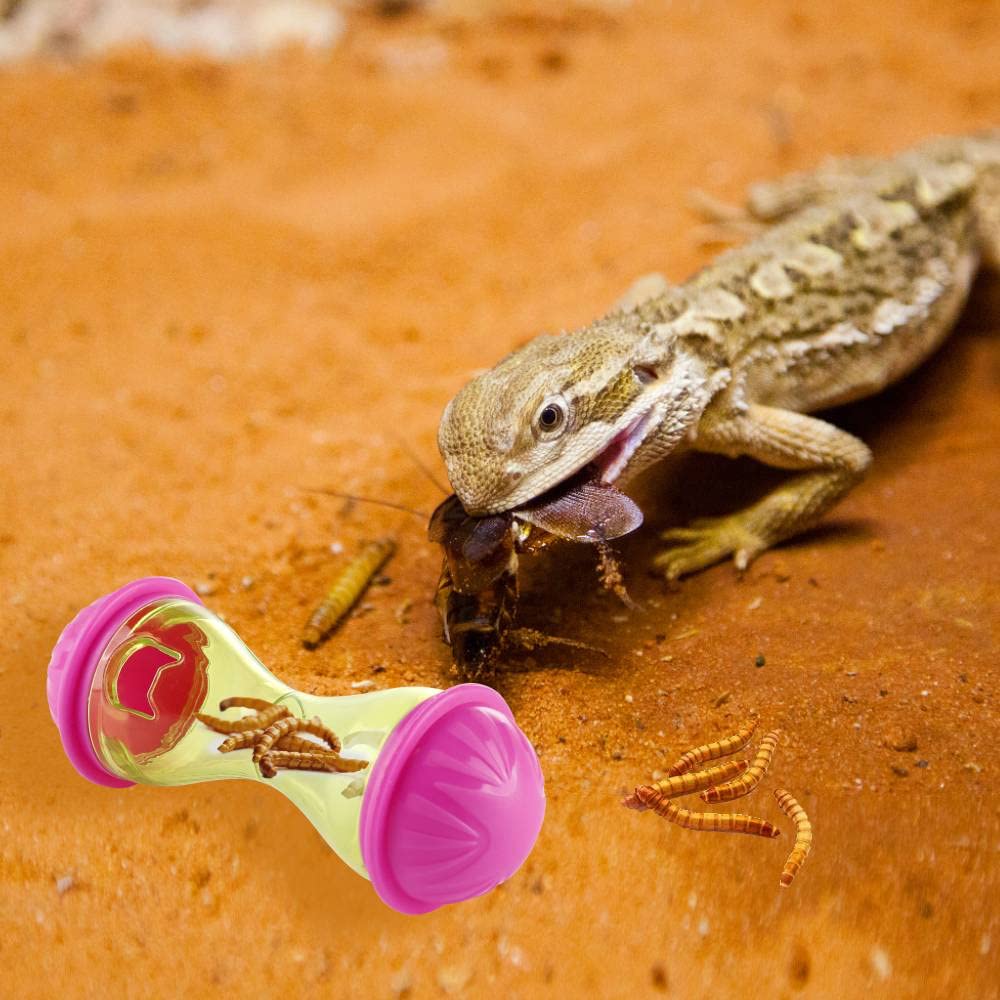 Amazon | Chordobe 3ピース 爬虫類エンリッチメントトイ - ひげ