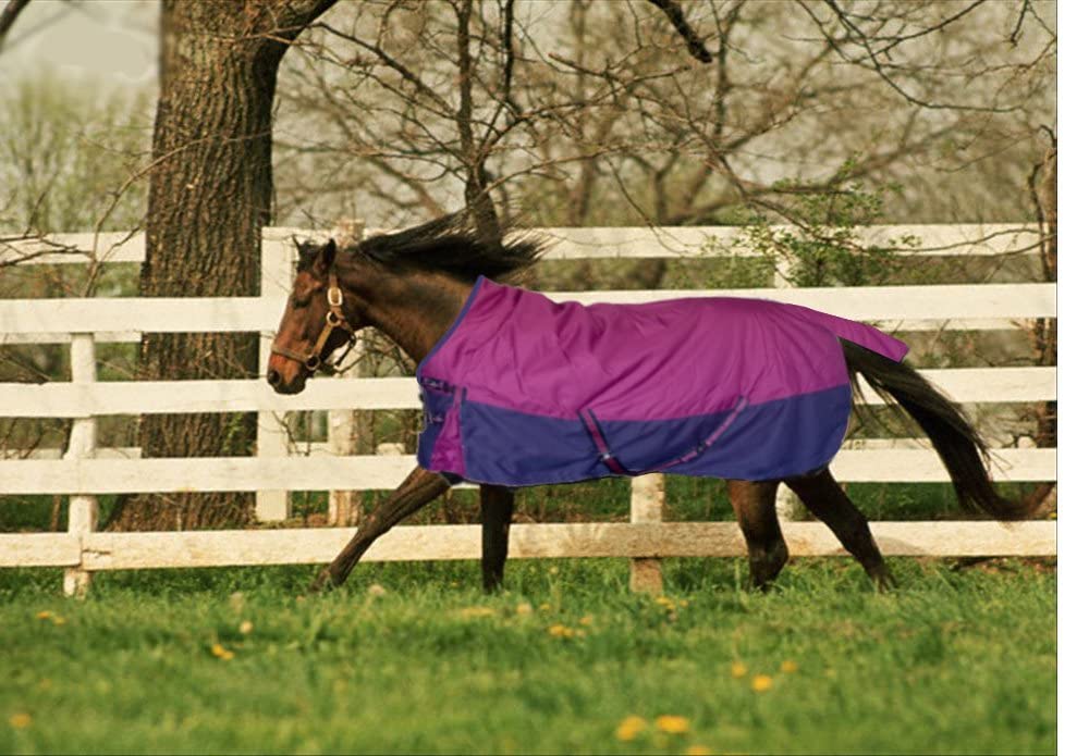 Couverture cheval imperméable anti-déchirure chaude pour l'hiver tapis d'extérieur switch carpet