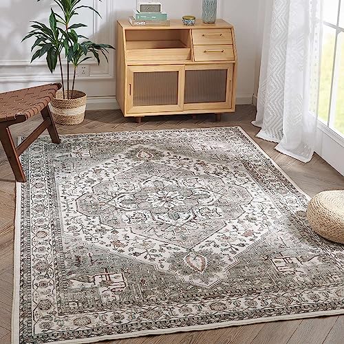 jinchan Area Rug 3x5 Washable Bedroom Area Rugs Soft Indoor Floor Mat Non-Slip Grey Taupe Vintage Accent Throw Carpet Floor Cover for Kitchen Living Room Bedroom Dining Room