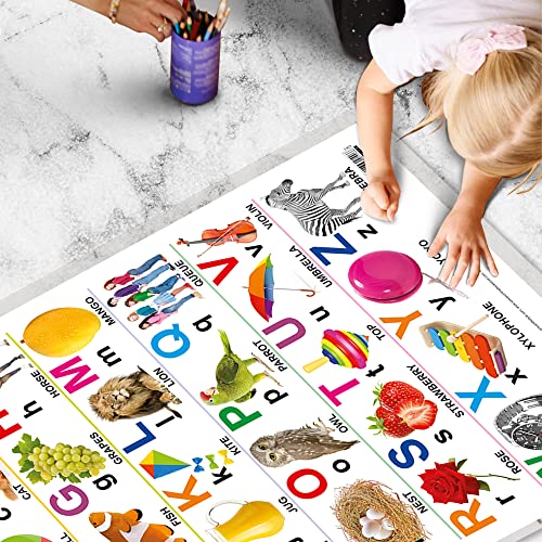 Image of GO WOO Alphabet Educational Poster for Preschool Kids Classroom Study | Learning- Chart for Kids Learning (20 inchX30 inch Inches)