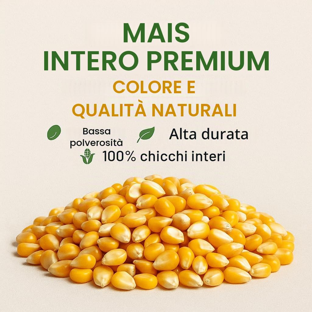 GiDeli Mais giallo intero 30 kg – Grani secchi – Mangime per galline e