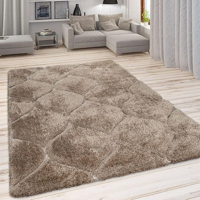 Image of Shaggy Rug for Bedroom Living Room 3X5 FEET Fluffy Plush Area Carpet with Non Slip Backing, Modern Cozy Floor Rug for Home Decor and Comfort (Beige /Moraccan)