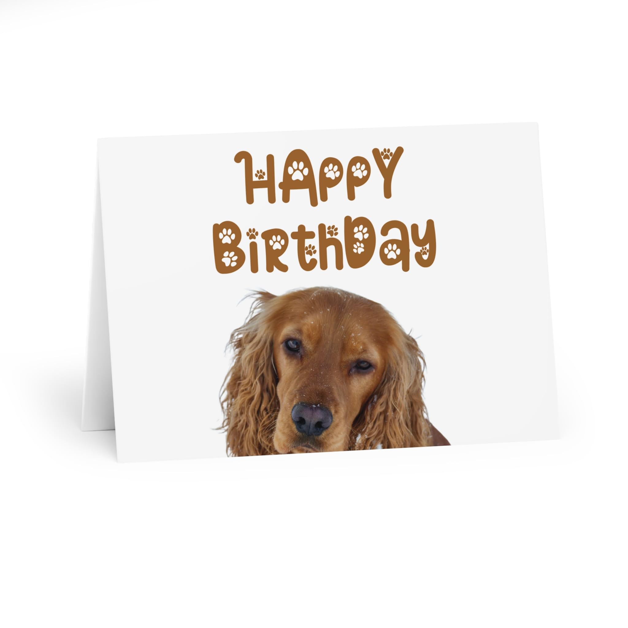1 x biglietto di auguri, regalo di buon compleanno per cucciolo di cane Crazy Cocker Spaniel n. 71065 - Italia