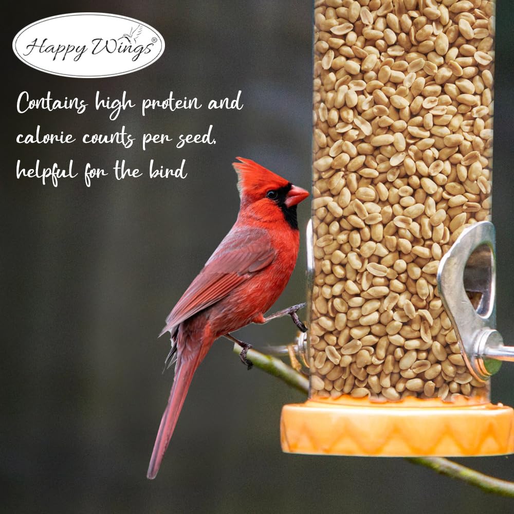 Happy Wings Semillas de maní sin cáscara Alimento para pájaros Silvestres - 5 Libras I Semillas sin Cultivo I Semillas para pájaros Silvestres