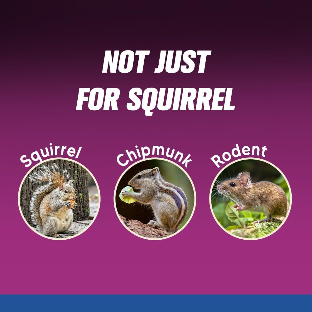 Squirrel Repellent Outdoor Garden, Chipmunk Repellent, Natural for Indoor & Outdoor Use, Keeps Squirrels Away from Gardens, Bird Feeders, Attics & Garages – 8 Pack - Image 2