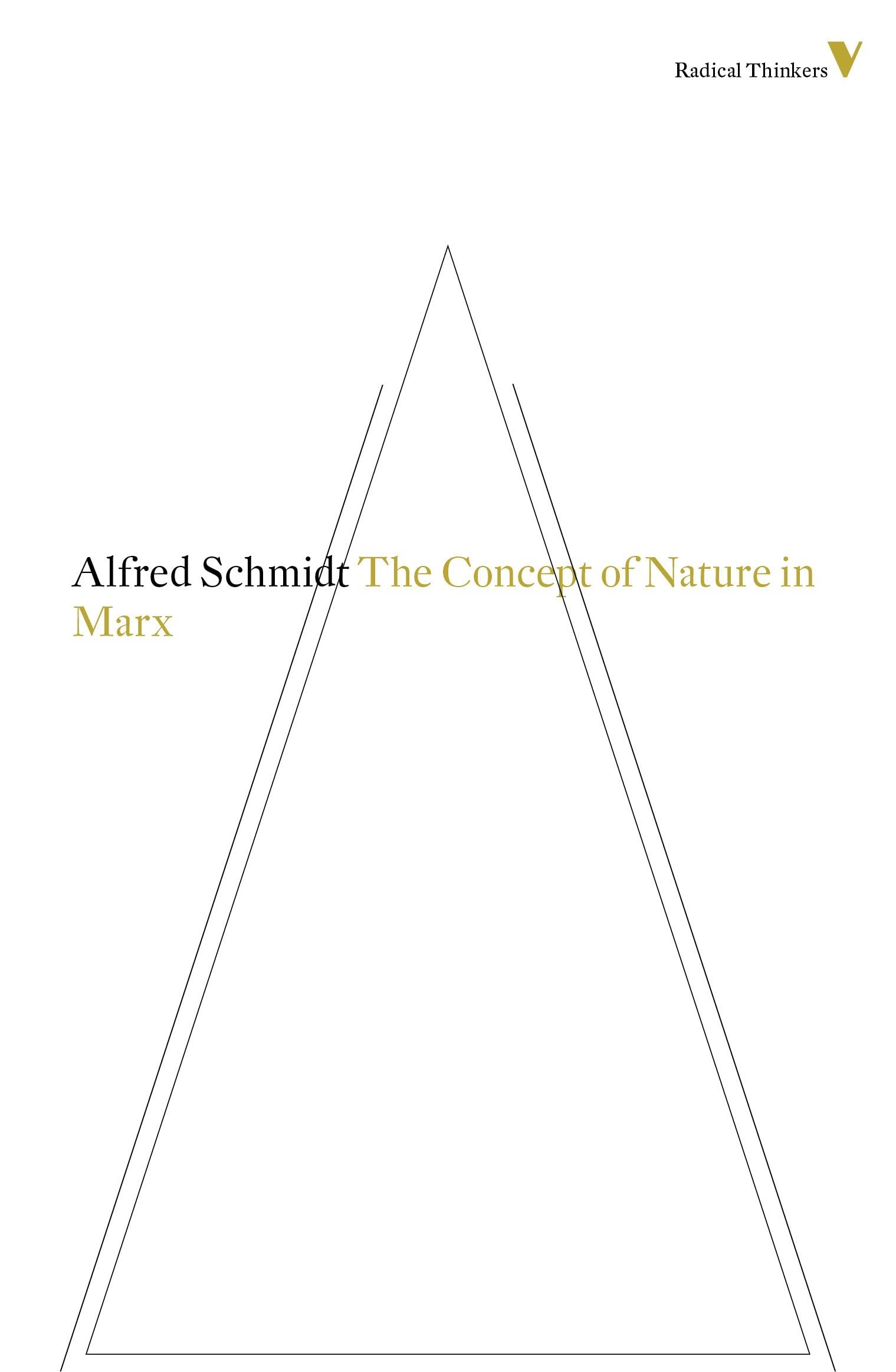 The Concept of Nature in Marx: 8 (Radical Thinkers Set 08)