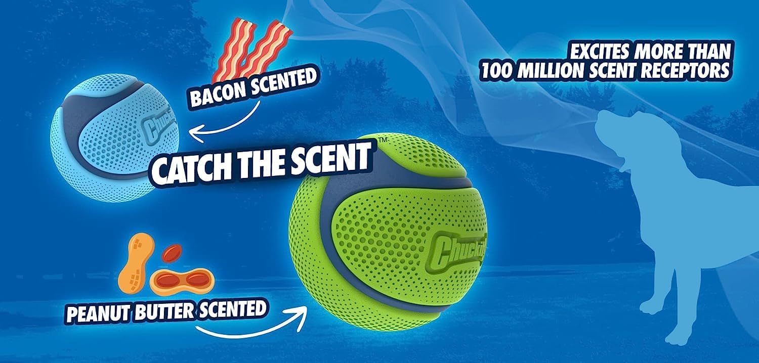 Chuckit! Pachnąca piłka do węszenia psa zabawka dla psa trwała boczek i masło orzechowe pachnąca gumowa piłka dla psa zabawka dla psa, średnia, 2 szt