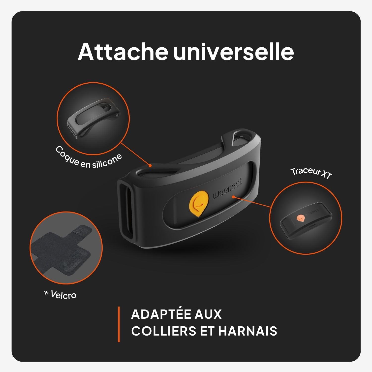 Weenect Chien XT - Traceur GPS pour Chien sans Collier | Étanche | Antenne XL | Portée Illimitée | Garantie à Vie | Abonnement Requis