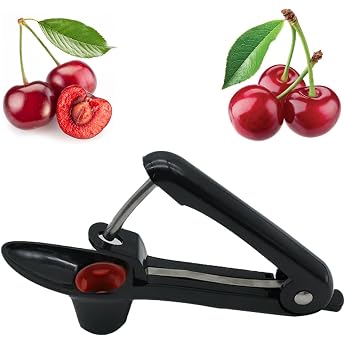 Cherry Pitter / Cherry Stone Remover / Stainless Steel Corer | Cherry Pitter Fruit Corer Cherry Corer Remover Hand Fruit Core