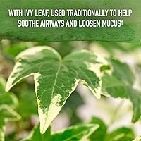 Vista 5 de Garden of Life Mykind Organics - Soporte inmunológico para adultos y niños de 12 años en adelante, jarabe inmunológico para la tos y el moco, 5