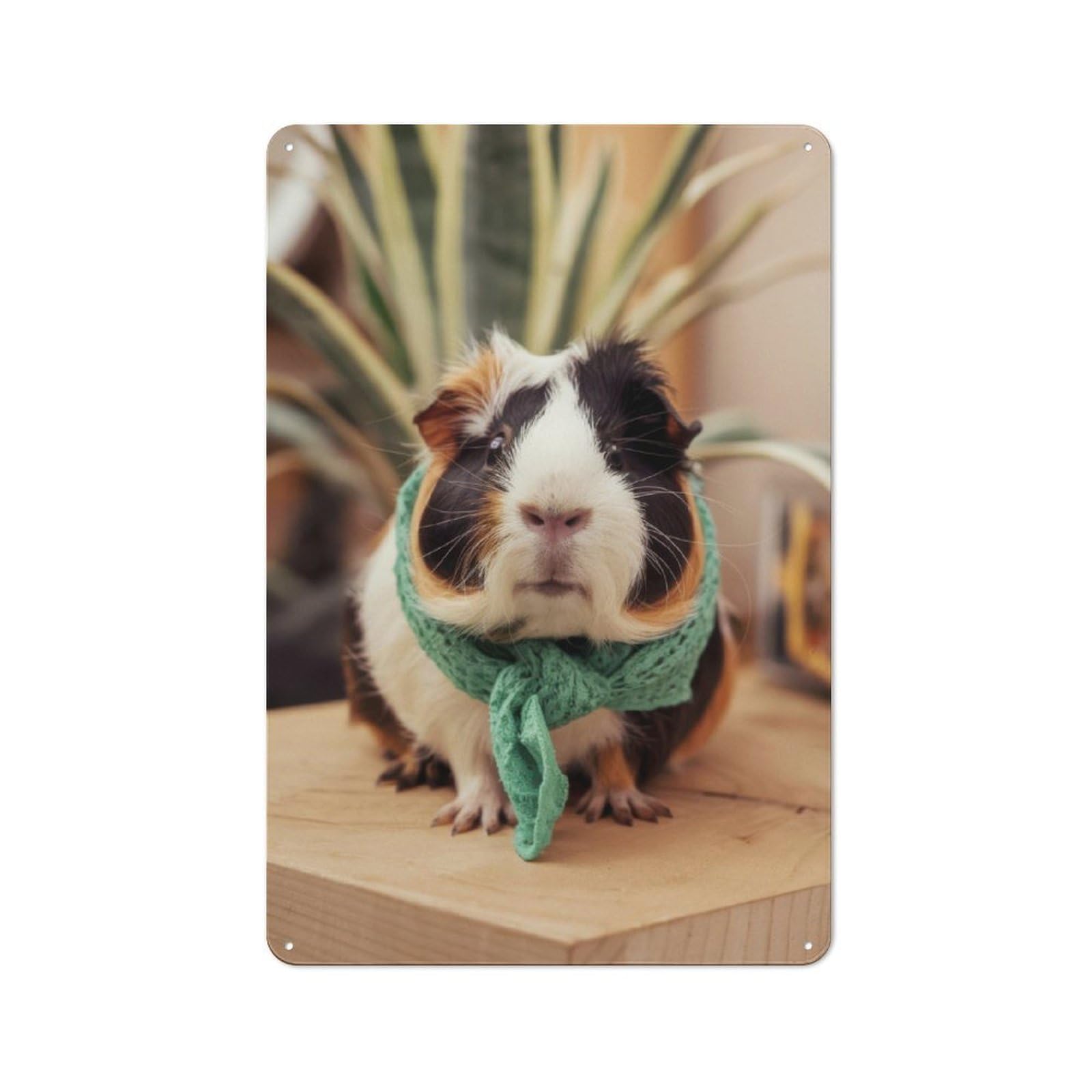 Cute Guinea Pig in Scarf Decorative Tin Sign 30x20cm, Old Fashioned Vintage Wall Decor for Lounge, Study, Pub Or Wall Gallery