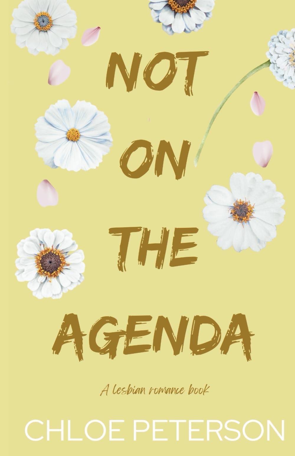 Not On The Agenda (Unspoken Terms)