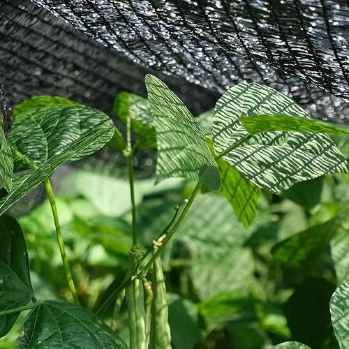 Miniatura 9 de JUNKOGO Tela de sombra, 6.5 x 6.5 pies, red resistente a los rayos UV con ojales de latón para cubierta de plantas de jardín, invernadero