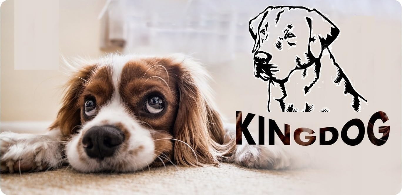KING DOG Cama para perros 130 x 105 cm personalizada impermeable azul con cojín