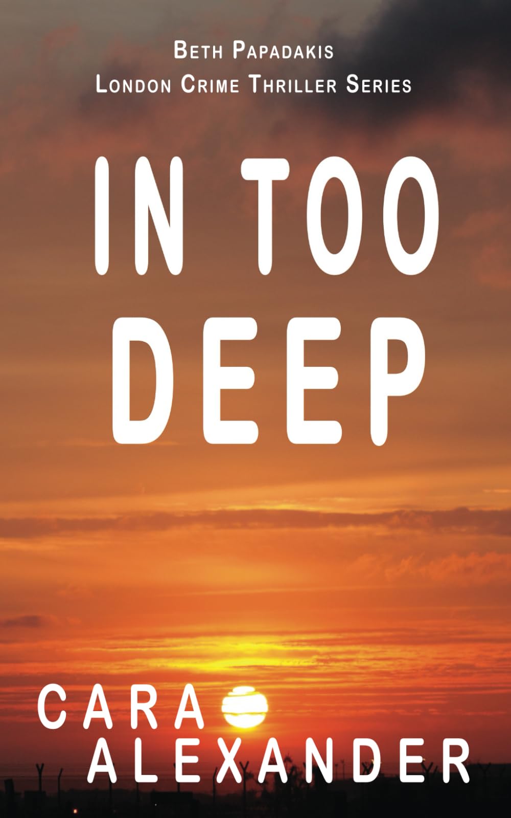 In Too Deep (London Crime Thriller Series)