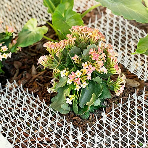 4 m - Tappetino da giardino repellente per gatti e cani, portatile, per esterni, colore: bianco