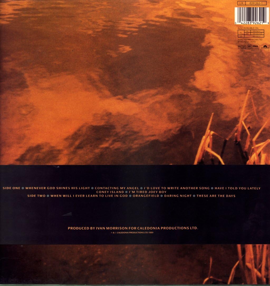 Avalon Sunset (1989)