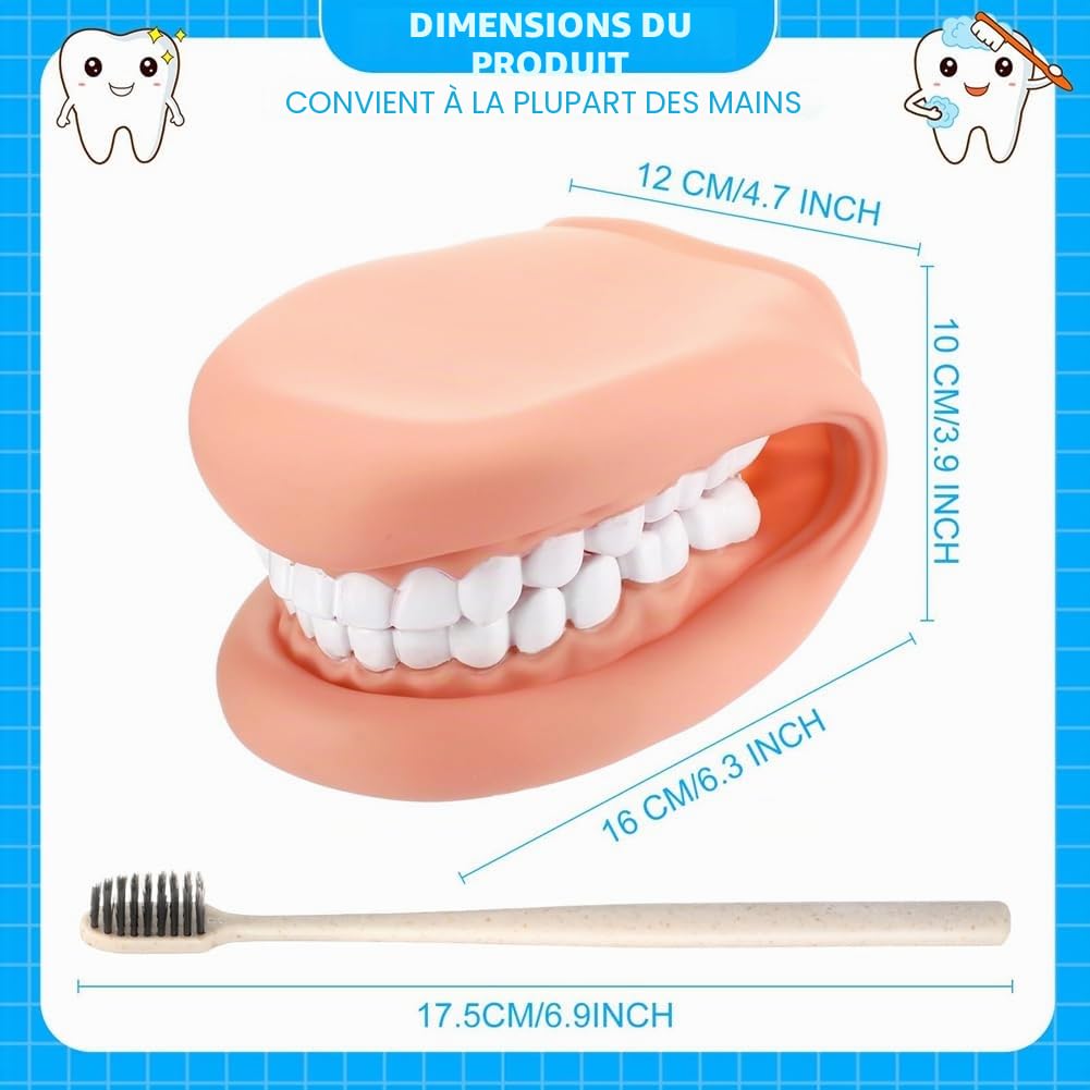 Bouche Marionnette avec Langue Dents, Modèle de Démonstration Dentaire, Bouche Marionnette à Main Dentaire Bouche Modèle avec Brosse à Dents pour l'Enseignement ou les Soins Bucco-Dentaires