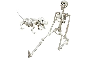 2pack Halloween Skeleton Dogs