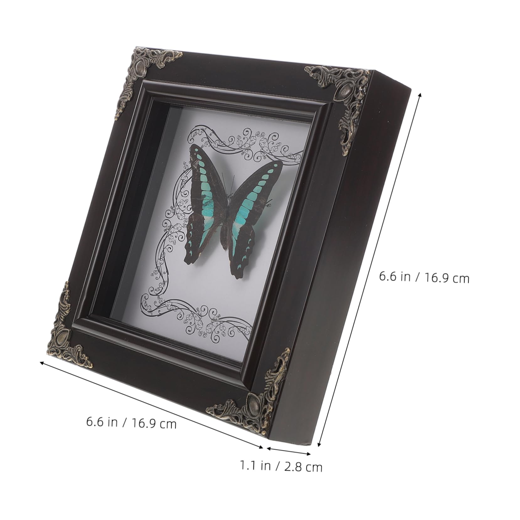 SUPVOX Real Butterfly Specimen Frame Vintage Framed Artwork Home Decor Butterfly Display Shadow Framed Stylish Vintage Decor