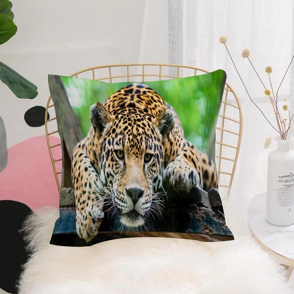 Hyosxw South American Jungle Jaguar Wild Animal Car - A9 Cushion Cover,Throw Pillow Case Home Decorative For Living Room Bedroom Sofa Chair 18X18 Inch,South American Jungle Jaguar Wild Animal Carnivore Track Image,Pillowcase 45X45cm