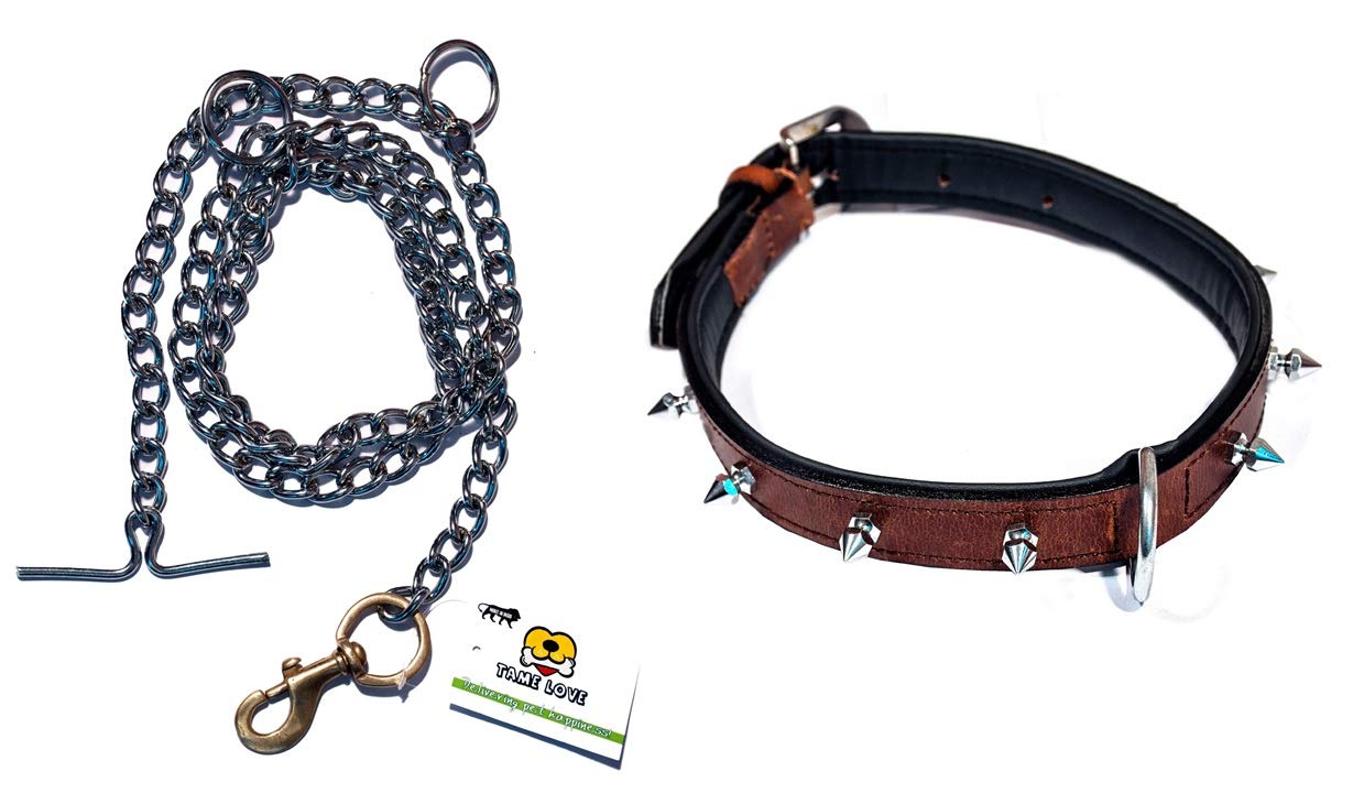 Tame Love Combo of Dog Collars Genuine Leather Spike Studded Adjustable, Padded Neck Belt and Stainless Steel Chain Leash with Brass Hook for Medium Sized Dogs of All Breeds (30-45kg) (B08KSDXCJN) Amazon Price History, Amazon Price Tracker