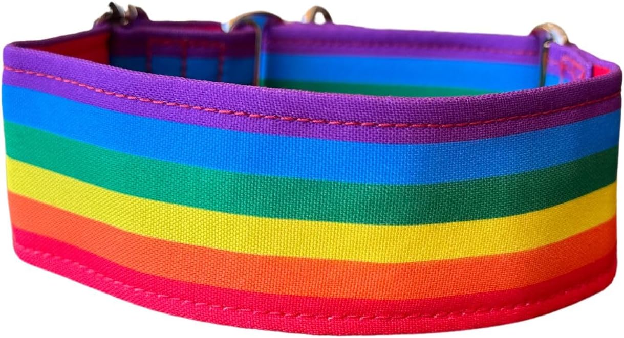 0634438602149 Rainbow Dog Collar, L