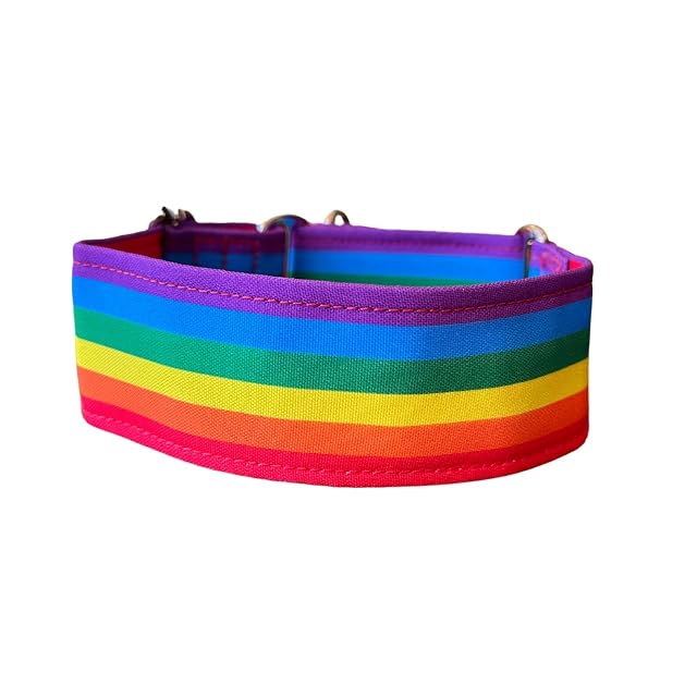 Foto 2 de 8 de Galguita Amelie Collar para Perro antiescape. Arcoiris (4L)