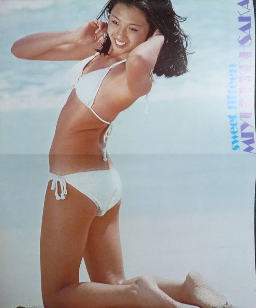 平凡パンチ 1978-1979 昭和53-54 24冊セット 水着 アイドル 平凡