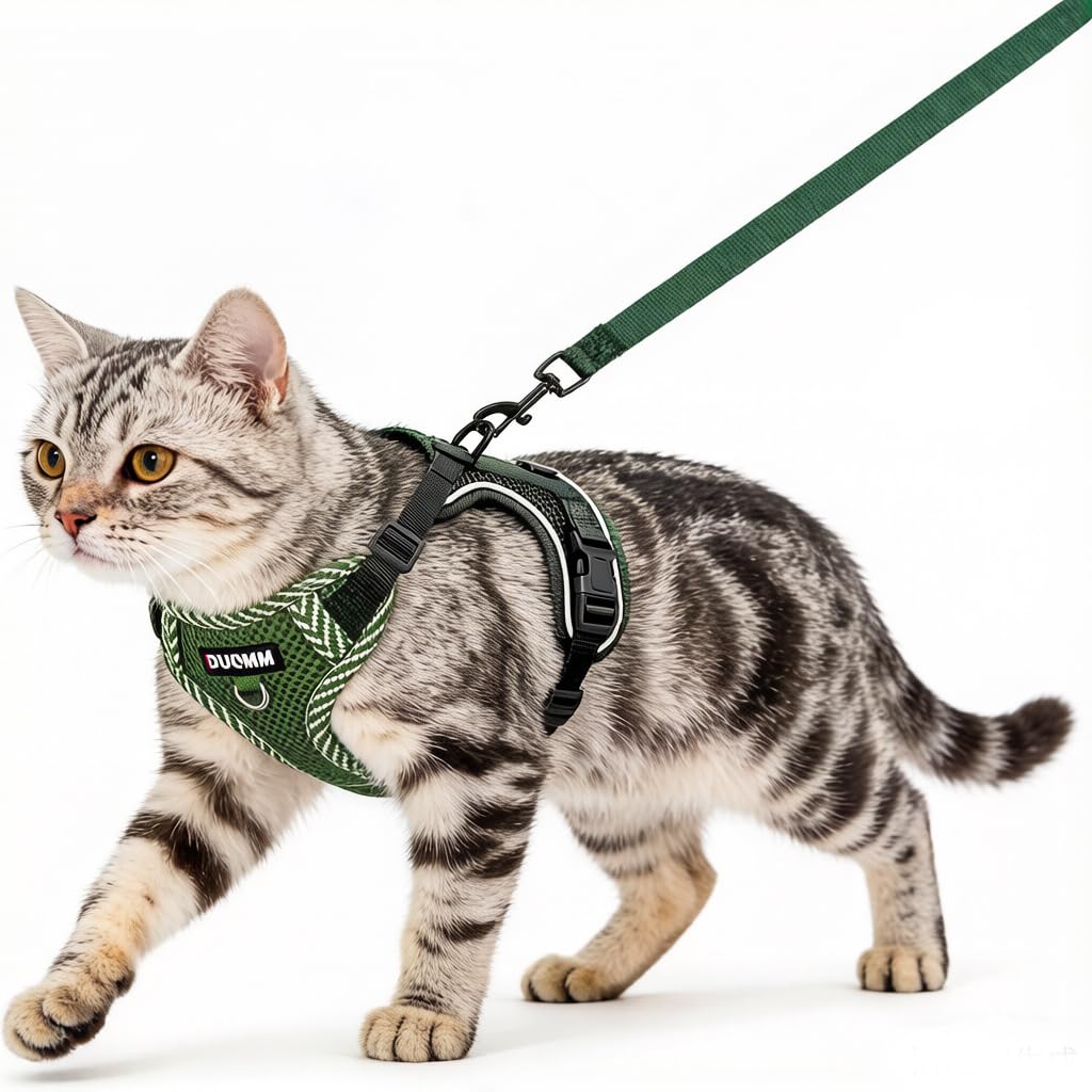 Cat Harness and Lead Set, Escape Proof Kitten Harness with Leash Adjustable Lightweight Soft Vest Harnes s with Reflective Strips, Breathable Mesh for Cats Safe Outdoor (Green, S)